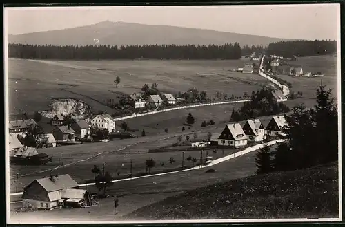 Fotografie Brück & Sohn Meissen, Ansicht Carlsfeld i. Erzg., Blick in den Ort mit Wohnhäusern