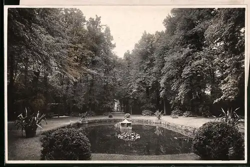 Fotografie Brück & Sohn Meissen, Ansicht Lichtenwalde, Partie im Schlosspark mit Entenhäuschen