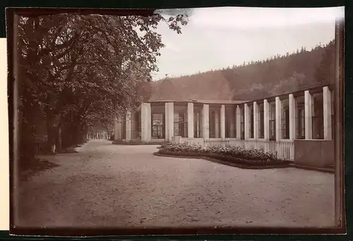 Fotografie Brück & Sohn Meissen, Ansicht Bad Elster, Partie in den Kuranlagen an der Salzquelle