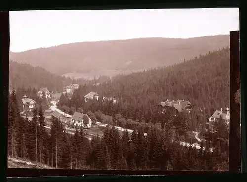 Fotografie Brück & Sohn Meissen, Ansicht Waldbärenburg i. Erzg., Blick auf den Ort mit Villen