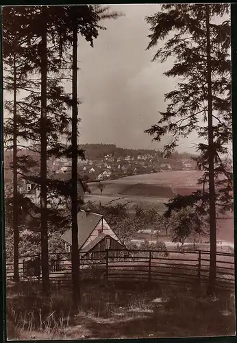 Fotografie Brück & Sohn Meissen, Ansicht Hartha i. sa., Blick aus dem Wald auf den Kurort