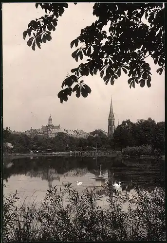 Fotografie Brück & Sohn Meissen, Ansicht Geringswalde i. Sa., Blick über den Grossteich zur Stadt, Schwanenhäuschen