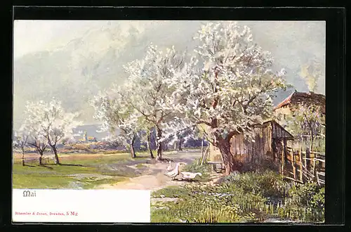 AK Mai, Landschaft mit Gänsen bei Baumblüte, Allegorie