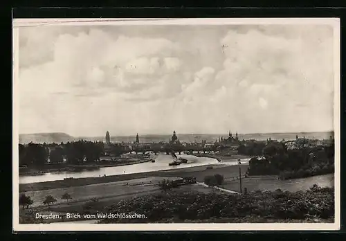 AK Dresden-Neustadt, Blick vom Waldschlösschen