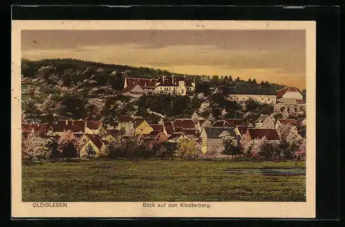 AK Oldisleben, Blick auf den Klosterberg