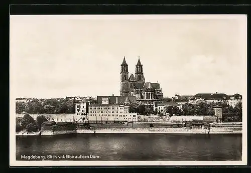 AK Magdeburg, Blick von der Elbe auf den Dom