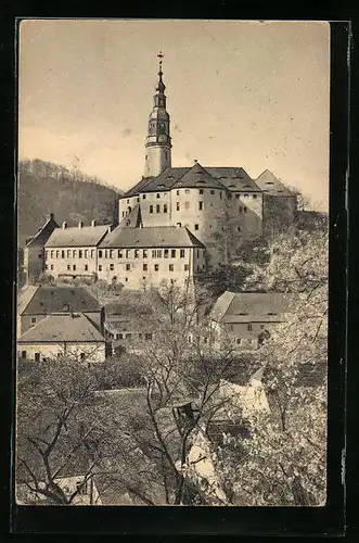 AK Weesenstein, Blick auf das Schloss im Frühling