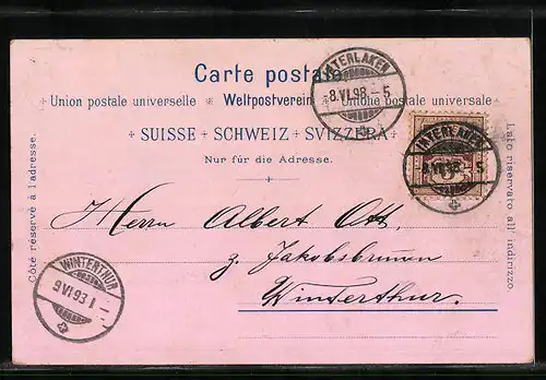 Lithographie Interlaken, Panorama mit Eisenbahn