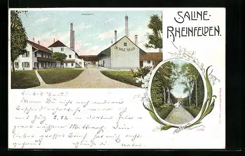 AK Rheinfelden, Totalansicht, Salinenstrasse