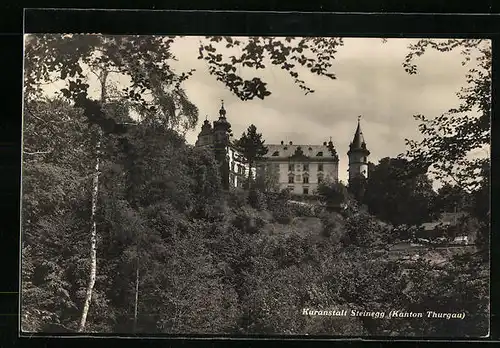 AK Steinegg, Kuranstalt Steinegg