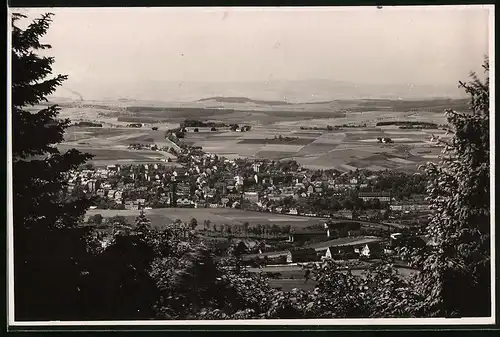 Fotografie Brück & Sohn Meissen, Ansicht Buchholz i. Erzg., Blick vom Wald auf die Stadt