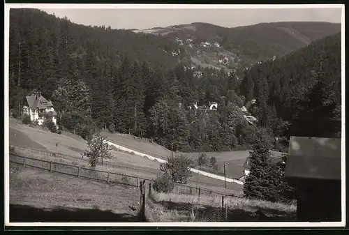 Fotografie Brück & Sohn Meissen, Ansicht Kipsdorf i.Erzg., Blick vom Kaiserhof auf den Ort im Tal