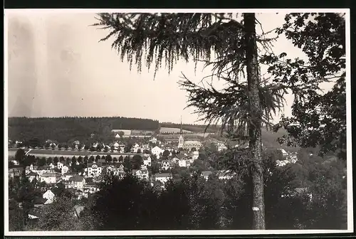 Fotografie Brück & Sohn Meissen, Ansicht Bad Elster, Blick auf die Stadt