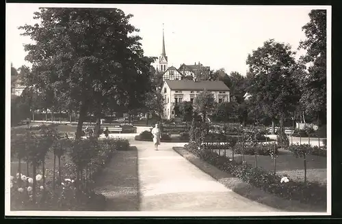 Fotografie Brück & Sohn Meissen, Ansicht Bad Elster, Partie aus dem Rosengarten mit Blick zur Kirche