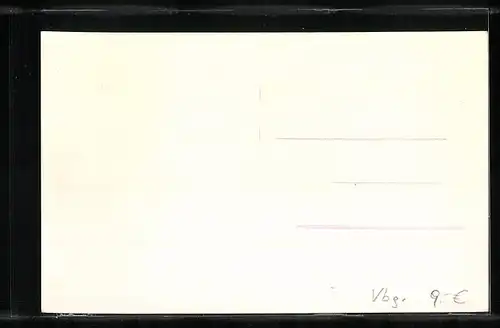 AK Hohenems, Teilansicht mit Strassenpartie