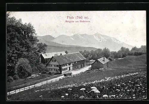 AK Bregenz am Bodensee, Blick auf Fluh