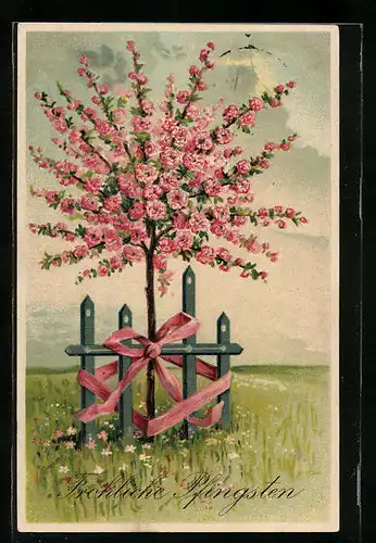 Künstler-AK Fröhliche Pfingsten, Blühender Baum