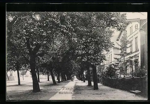 AK Parchim, Partie in der Buchholz Allee