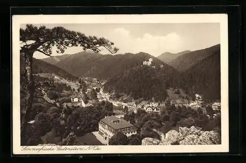 AK Gutenstein, Blick über die Ortschaft im Tal
