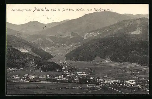 AK Pernitz, Generalansicht vom Kitzberg aus
