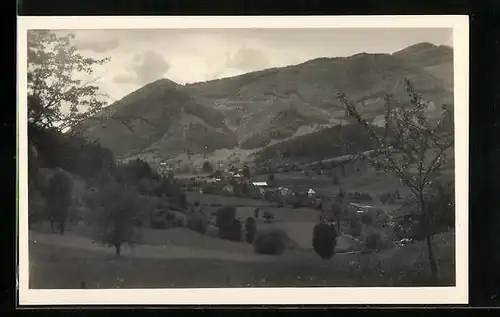 AK Salzerbad, Blick nach Kleinzell