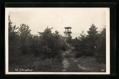 AK Tulbing, Turm auf dem Tulbingerkogel