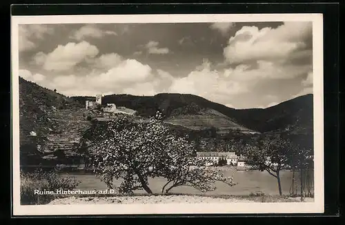 AK Hinterhaus a. d. D., Blick auf die Ruine