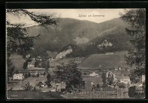 AK Spital am Semmering, Talblick mit der Ortschaft