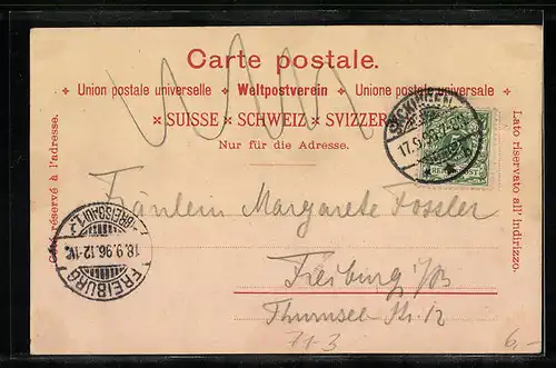 Lithographie Schaffhausen, der Rheinfall, Boot am Flussufer, Zug auf der Rheinbrücke