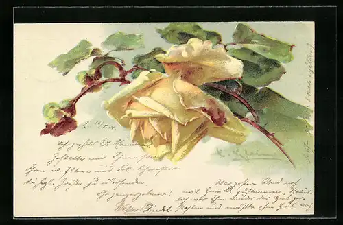 Präge-Künstler-AK Catharina Klein: Gelbe Rose in voller Pracht