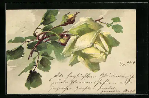 Präge-Künstler-AK Catharina Klein: Rosenzweig mit Blüte und zwei Knospen