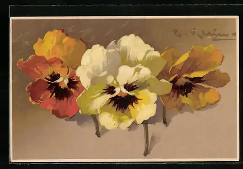 Künstler-AK Catharina Klein: Drei Blüten in weiss, gelb und orange