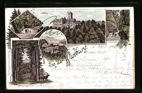 Lithographie Wartburg, Aussenansicht, im Annathal, Blick v. d. Hohen Sonne, die Drachenschlucht
