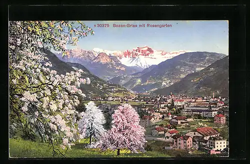 AK Gries-Bozen, Stadtansicht zur Blütezeit mit dem Rosengarten