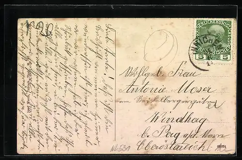 AK Innichen im Hochpustertal, Ansicht gegen haunold und neunergruppe