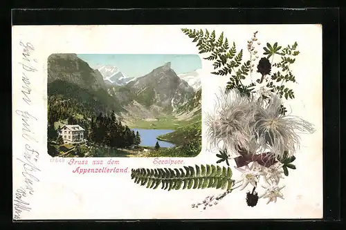 AK Seealpsee, Gesamtansicht mit Gasthaus