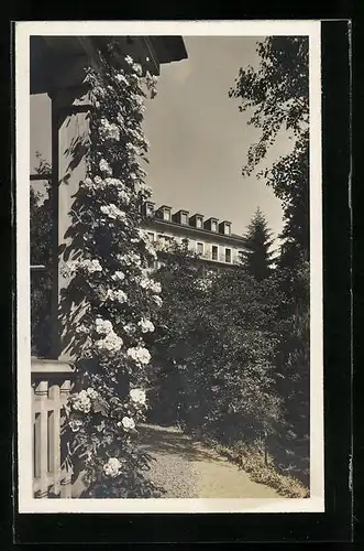 AK Rheinfelden, Solbad Schützen, Gartenpartie