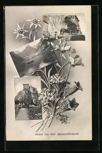 AK Appenzell, Bergstrasse mit Frau, Ortspartie, See mit Boot