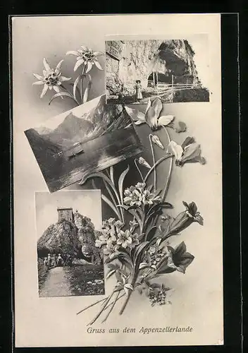 AK Appenzell, Bergstrasse mit Frau, Ortspartie, See mit Boot