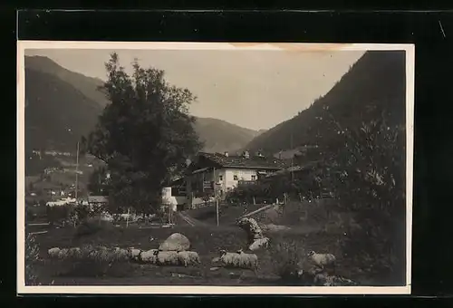 AK Merano, Casa natia di Hofer