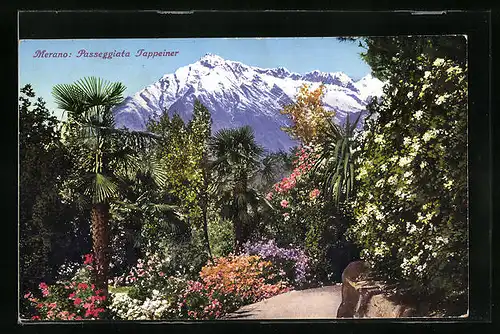 AK Merano, Passeggiata Tappeiner