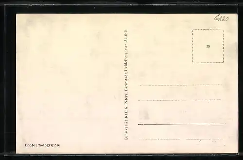 AK Michelstadt i. O., Gesamtansicht mit Stadion