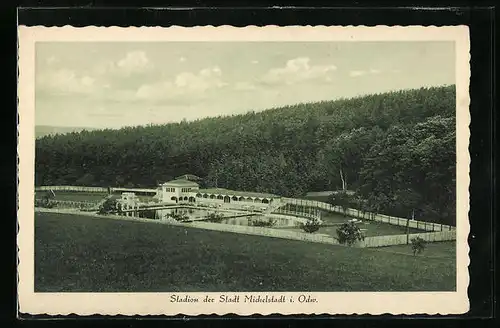 AK Michelstadt i. Odw., Blick auf das Stadion