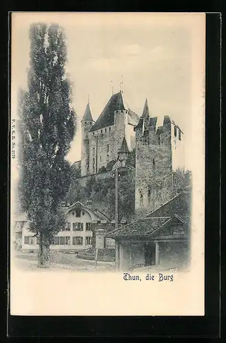 AK Thun, Blick zur Burg