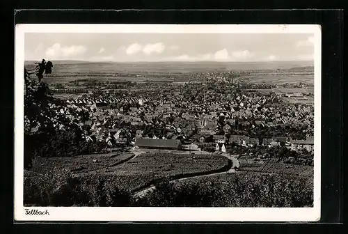 AK Fellbach, Totalansicht