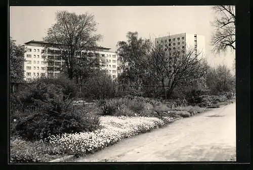 AK Potsdam, Freundschaftsinsel