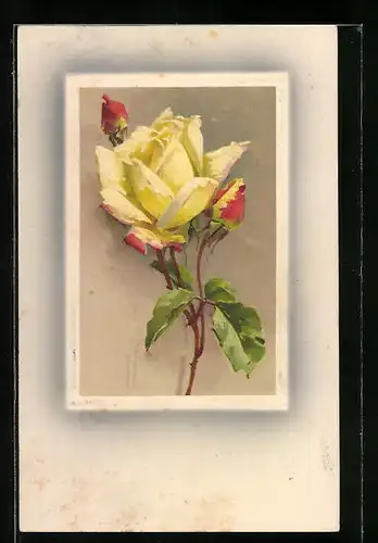 Künstler-AK Catharina Klein: Gelbe Rosen