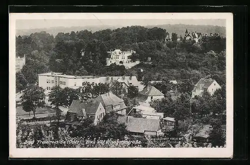 AK Bad Freienwalde (Oder), Blick zur Elisabethstrasse