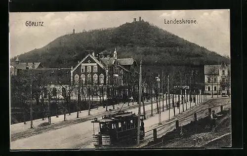 AK Görlitz, Strassenbahn mit Blick zur Landeskrone