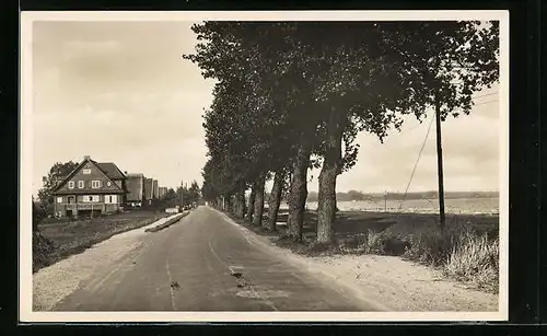AK Ostseebad Haffkrug, Strassenpartie in den Ort